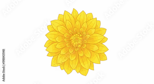 A vibrant yellow dahlia flower is depicted with its detailed petals radiating outward from a central core