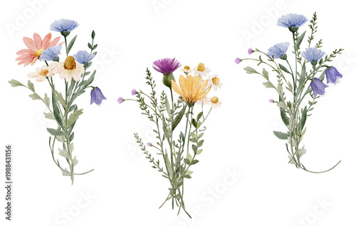 Watercolor wildflower bouquets collection with soft pastel tones. Elegant botanical compositions feel natural and romantic and ideal for wedding design.