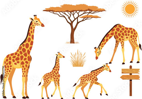 Tableau sur toile Set of Giraffe Icons Featuring Various Poses and African Savanna Elements Includ