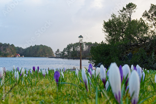 fjord proche de bergen en norvege