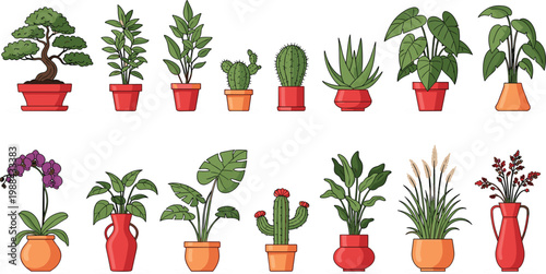 Collection of indoor potted plants including cactus, bonsai, monstera, orchid and tropical houseplants in decorative pots flat vector illustration set