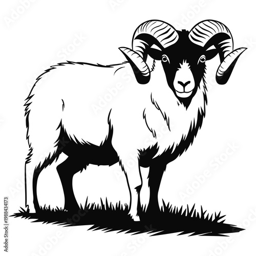 goat on a white background