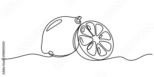 Minimalist single line art illustration of a whole lemon and a fresh citrus slice. Vector, illustration
