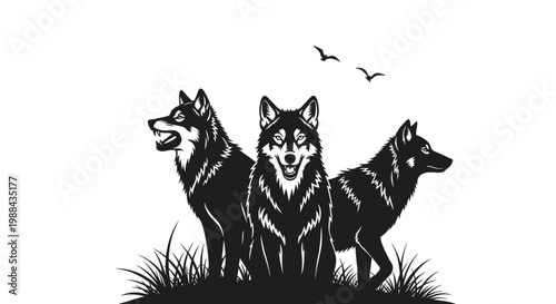 Three Wolves Standing Together Outdoors.