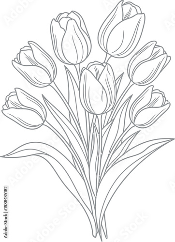 Detailed line art drawing showcases a beautiful bouquet of fresh spring tulips with delicate petals and long stems, perfect for coloring books, greeting cards, and nature-themed designs.