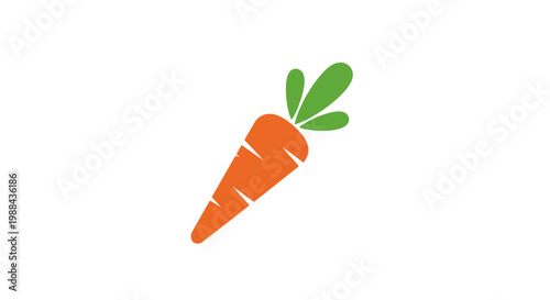 Fresh orange carrot vegetable closeup.