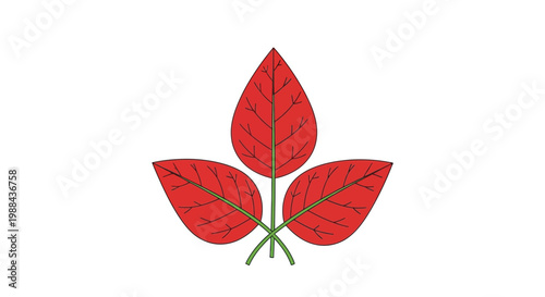 Three red leaves arranged symmetrically on a white background