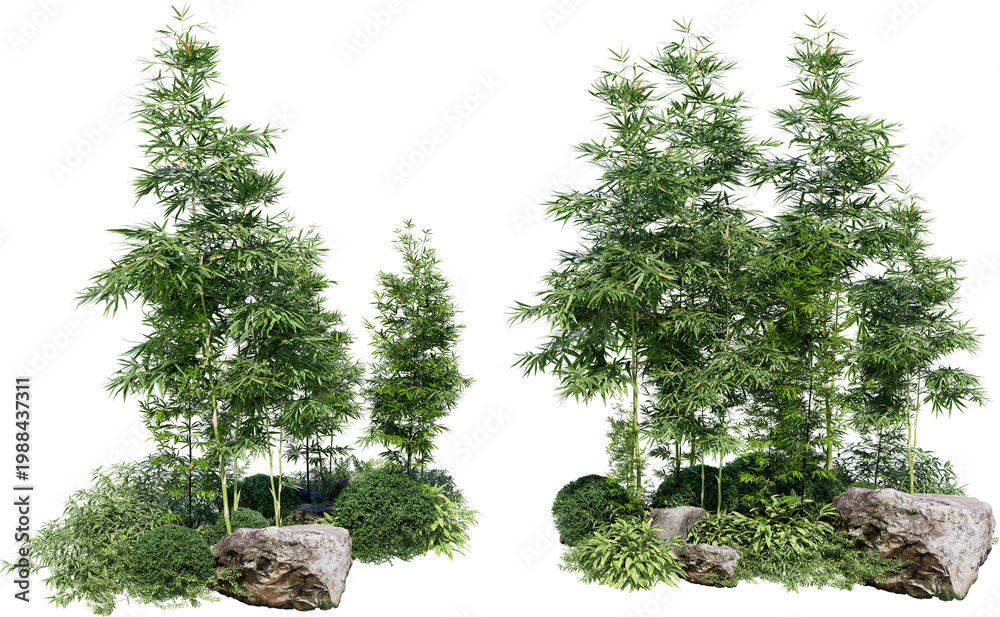 Naklejka premium Bamboo tree on transparent background