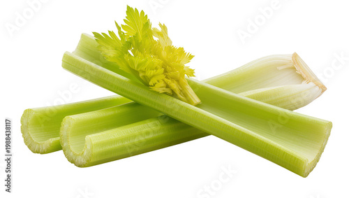 Tableau sur toile Fresh green celery stalks with feathery leaves, isolated on transparent backgrou
