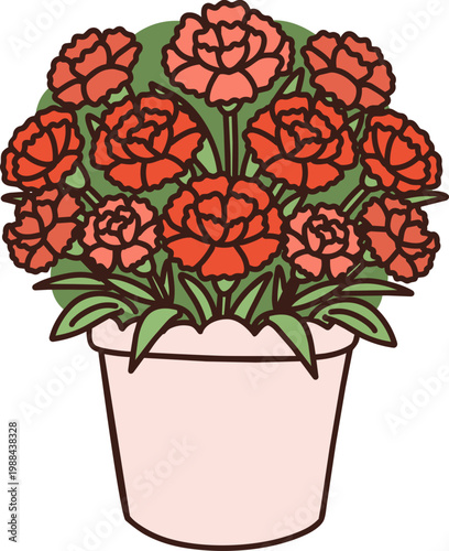 카네이션 어버이날 스승의날 가정의달 5월