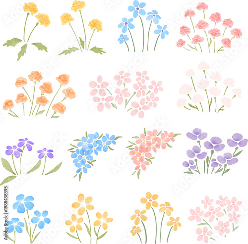 spring flower watercolor illustration collection