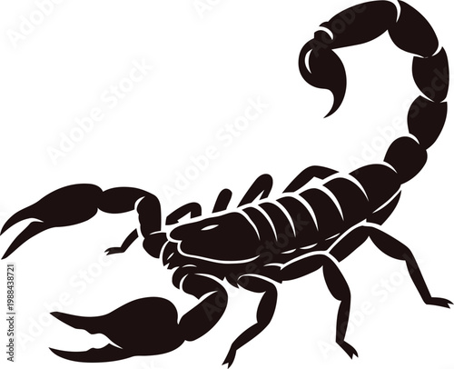 Black Scorpion Silhouette Vector Illustration Isolated on White