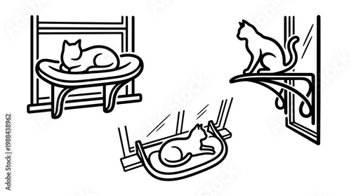 Various Cats Relaxing on Window Perches in Different Positions.