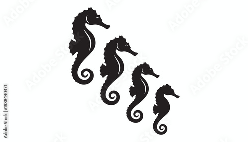 black and white silhouette set of Seahorses very high quality vector illustration.