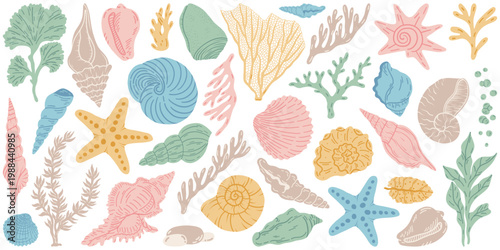Flat vector set cartoon illustration of colorful sea shells, corals, and plantin various shapes and patterns. For summer, marine, vacation, beach, card, sea, ocean design. Isolated white background.	