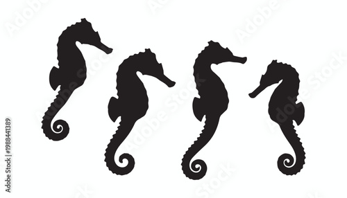 black and white silhouette set of Seahorses very high quality vector illustration.