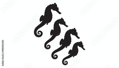 black and white silhouette set of Seahorses very high quality vector illustration.