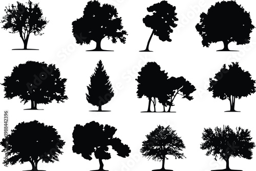 Collection of silhouetted trees a diverse range of tree shapes and sizes