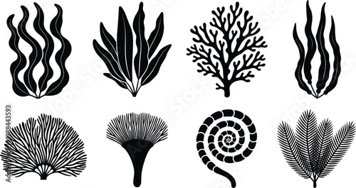 Collection of seaweed and coral silhouettes featuring marine algae and reef shapes, underwater botanical vector illustration design artwork