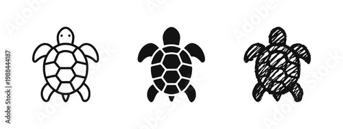 Turtle and Tortoise Vector Icon Set in Outline Solid and Doodle Styles
