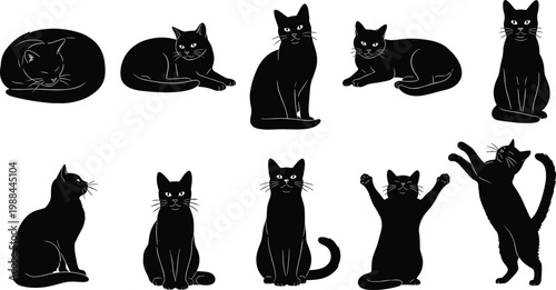 Collection of black cat silhouettes in playful and resting poses, cute feline vector set isolated on white background.