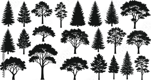Collection of diverse tree silhouettes including coniferous and deciduous species, black vector artwork for landscape, nature, and educational design