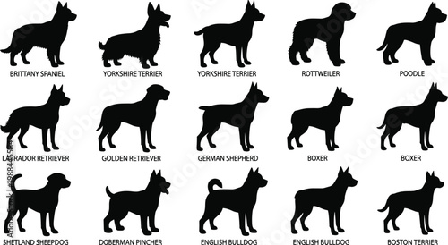 Collection of dog breed silhouettes including Labrador, German Shepherd, Poodle, Rottweiler, Bulldog, Terrier, and Retriever vector illustration