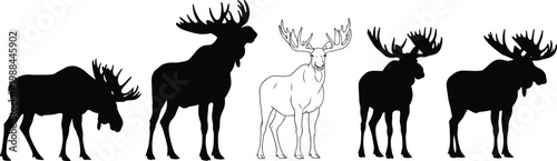 Collection of moose silhouettes with antlers, including filled and outlined figures, wildlife vector illustration for nature artwork design
