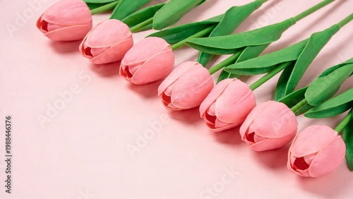 Pink Tulips on Pastel Background with Green Leaves
