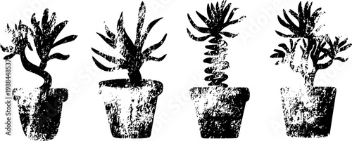 black and white silhouette illustration of four potted succulent plants with varied shapes and leaves
