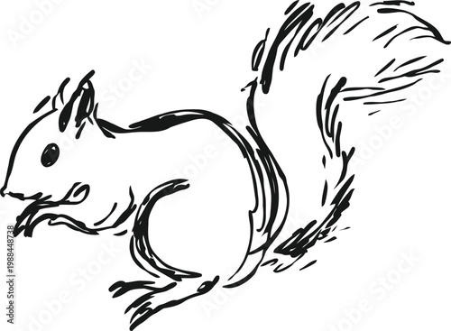hand drawn squirrel sketch with bushy tail nibbling food simple wildlife illustration in black and white