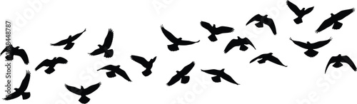 Flying bird silhouettes in dynamic flock formation, wings in motion, minimalist vector illustration of graceful wildlife design concept