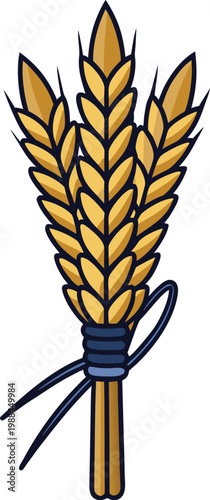 Bundle of Golden Wheat Stalks Tied with Blue String, Isolated