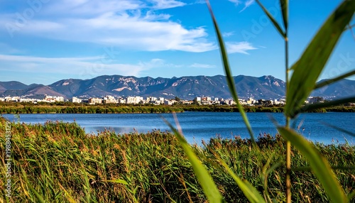 Lush reeds frame a calm lake and distant city skyline