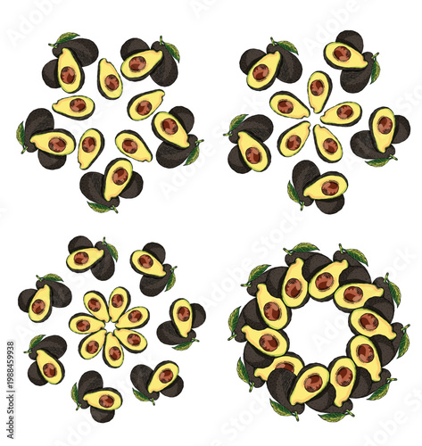 Vector avocado mandala illustrations for frames, graphics and graphic design