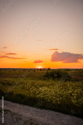 Beautiful sunset in nature in a field during a trip outside the city with fresh air.