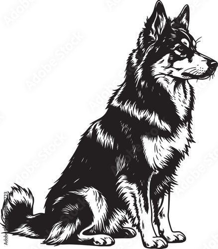 Black and white linocut style of a sitting husky dog, looking to the right with alert ears and a bushy tail also transparent background