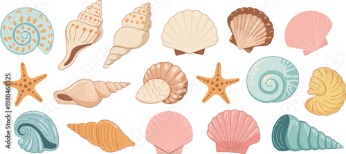 Colorful seashell collection, pastel ocean shells and starfish for beach themed decorative vector illustration