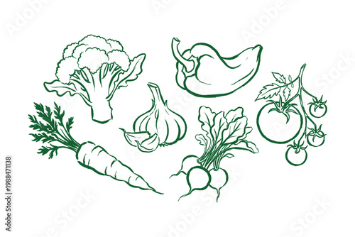 Green Line Art Vegetable Sketches Collection