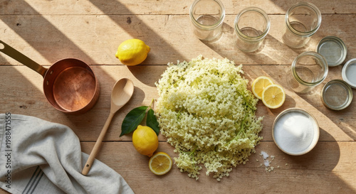 Overhead Flat Lay: Fresh Elderflower Blossoms, Lemons, and Sugar for Traditional German Jelly Preparation