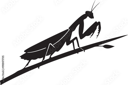 Clean black silhouette of praying mantis on stem