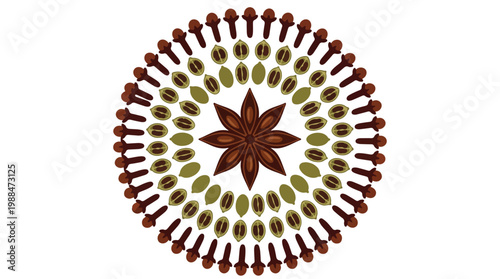 Intricate circular mandala pattern created from various aromatic spices arranged symmetrically on a white background