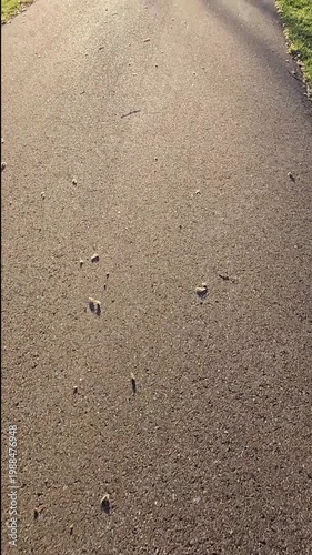 Walking on path with sound of birds. Silhouette of bike passing by. Pedestrian multi-purpose trail. Fitness, Urban or city planning.