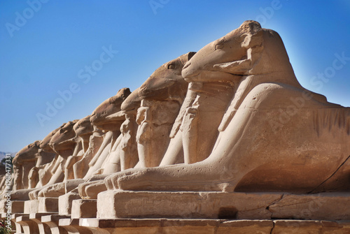 Tableau sur toile Alley Swing with heads of rams in the temple of Karnak Egypt, as well as several