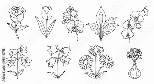 A collection of eight distinct line-art floral illustrations