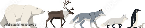 Set of Arctic and Tundra Wildlife Icons Featuring Polar Bear Reindeer Grey Wolf Arctic Fox Penguin and Ermine for Nature Biology Education and Polar Ecosystem Graphic Designs