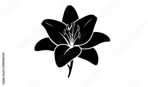 Create an isolated elegant lily flower silhouette icon in solid black vector style. The lily should have 6 smooth petals with gentle curves, a clean stem, and subtle stamen shapes, designed with a mod