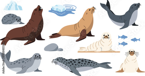Set of Diverse Seal and Sea Lion Icons Featuring Various Marine Mammal Species with Arctic Icebergs Fish and Rocks for Nature Wildlife Education and Oceanography Graphic Designs