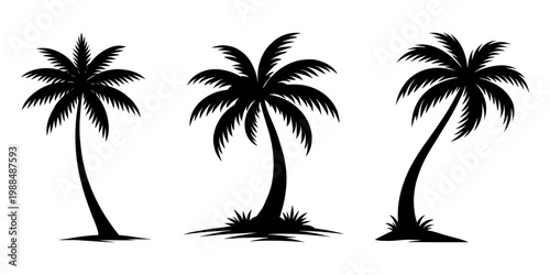 Palm tree silhouette graphic vector illustration