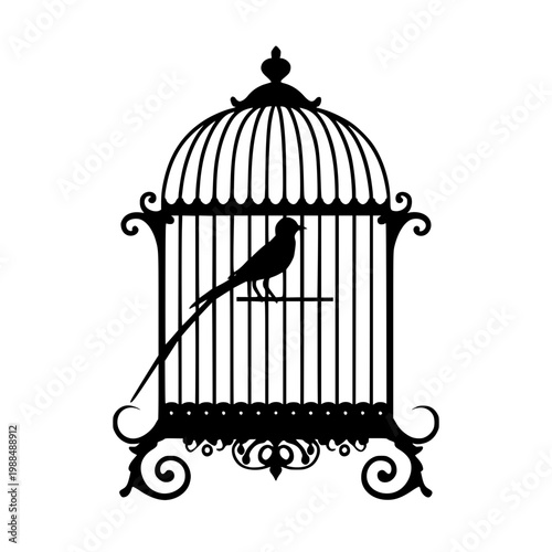 Bird sits perched on a decorative birdcage with a long tail